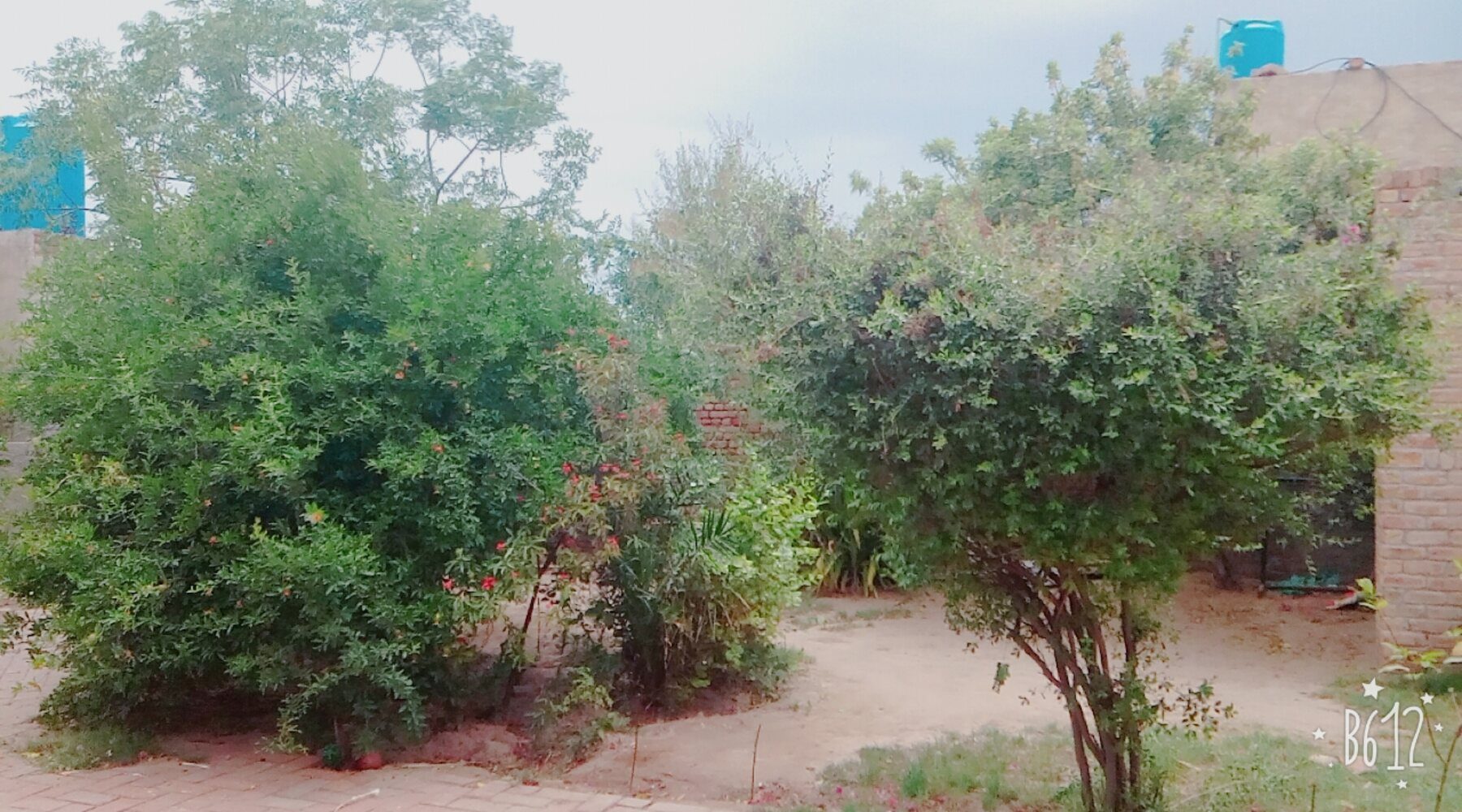 Sargodha